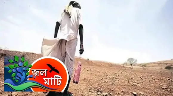 Soil