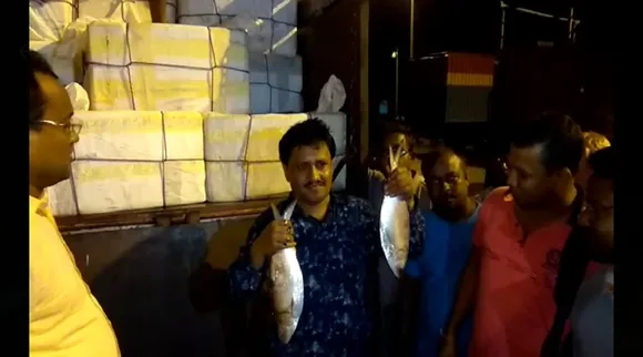hilsa