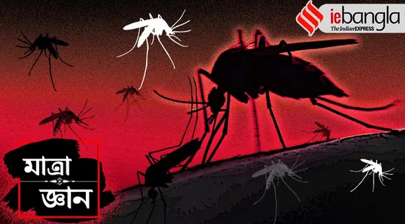 dengue kolkata