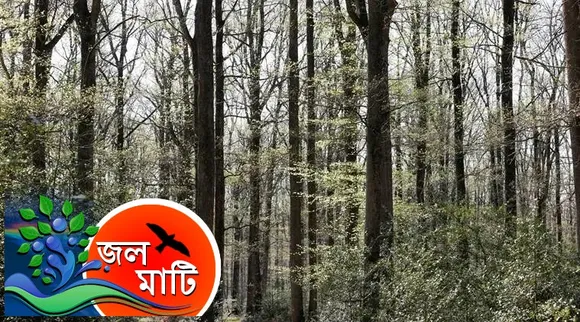 Forest, Forest of India