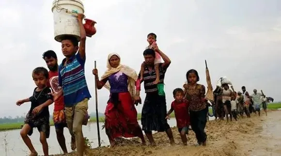 rohingya