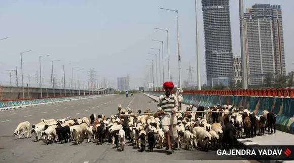 Covid-19, herd immunity