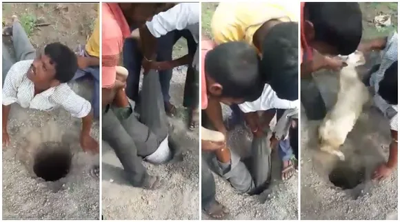 দিনের সেরা ভাইরাল: চিনে টর্নেডো, ছাগলের পিতৃত্ব পরীক্ষা