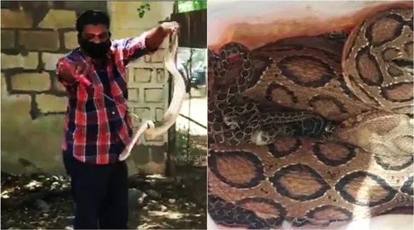 দিনের সেরা ভাইরাল: চিনে টর্নেডো, ছাগলের পিতৃত্ব পরীক্ষা