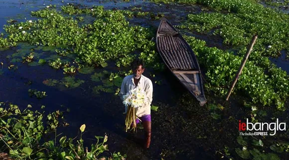 বর্তির বিল, Bartir bil, bartir bill, বরতির বিল, bortil bil, borotir bil, ওয়েস্ট বেঙ্গল, West bengal, পশ্চিমবঙ্গ, west bengal 2020, বিল, bill, বারাসাত, Barasat, ব্যারাকপুর, Barrackpur, কলকাতা, Kolkata, টুরিস্ট স্পট, tourist, tourist places in kolkata, ট্যুরিজম, tourism, ওয়েস্টবেঙ্গল ট্যুরিজম, tourism in west bengal, ট্রাভেলার, west bengal tourism packages, traveller করোনা, Corona, করোনা মহামারী, corona pandemic, মহামারী, Pandemic, নীলগঞ্জের বর্তির বিল,bartir bill nilganj, নীলগঞ্জ বর্তির বিল, bartir bill, নীলগঞ্জ, nilganj, কোভিড-১৯, covis-19 দুর্গাপূজা, Durgapuja, কাশফুল, tour and travel agency kolkata, bortir bil 2020, বর্তির বিল ২০২০, india 2020, ভারত ২০২০