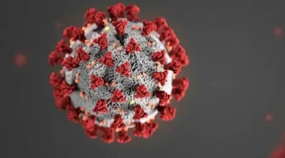 coronavirus, করোনাভাইরাস