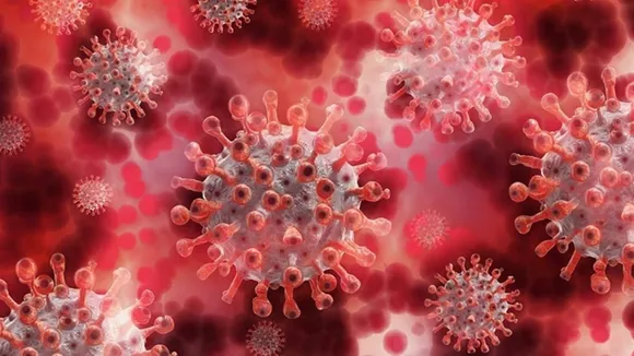 Coronavirus, Vietnam