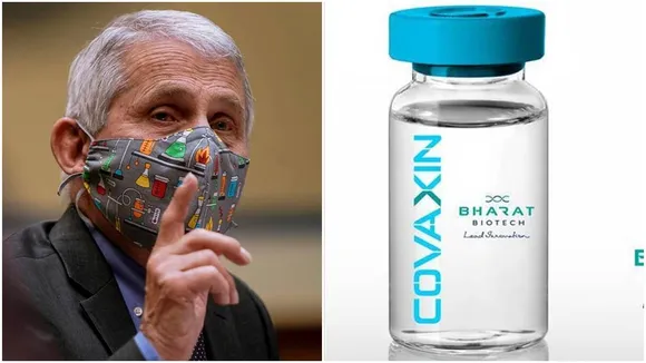Covaxin, Covid Vaccine, Anthony Fauci, Covid-19 Varient