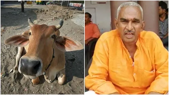 cow urine Surendra Singh