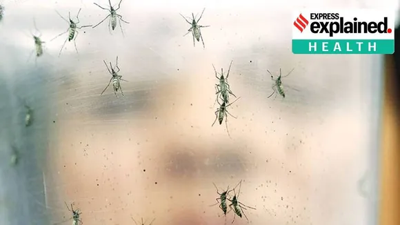 Zika Virus