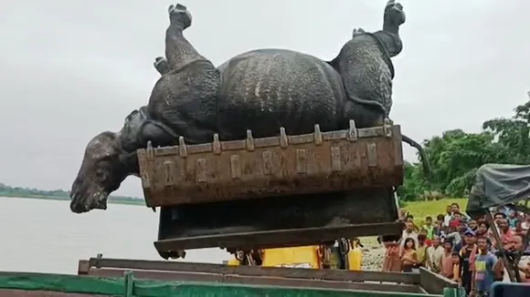 rhino body recover from river