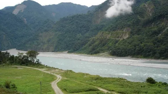 Thousands of fish die as river suddenly turns black in Arunachal