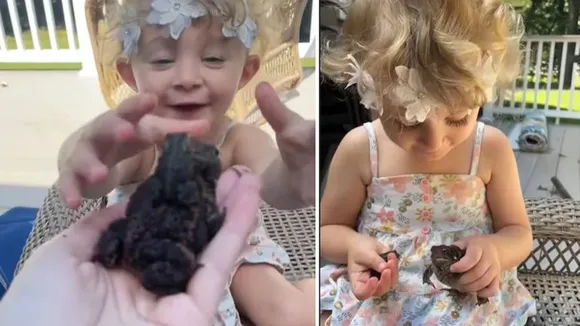 Little Girl kisses Frogs