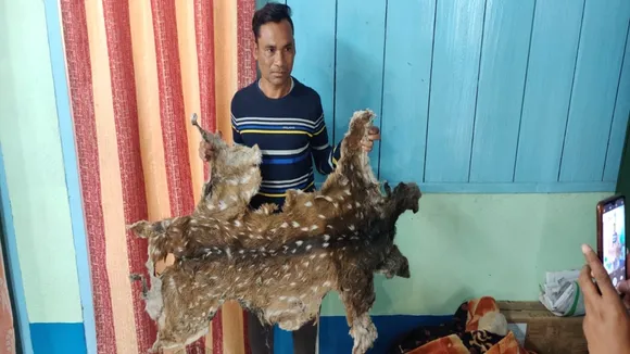 Interstate traffickers caught in jalpaiguri with deer skin, pangolin scales