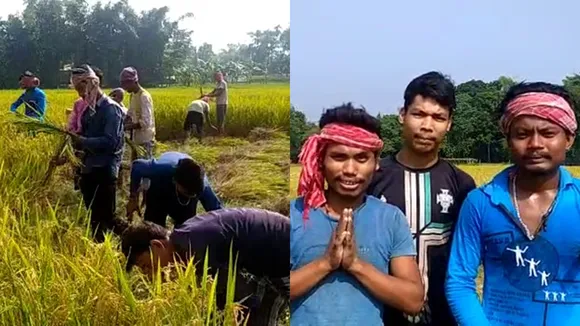 funding for organizing Kalipuja by cutting paddy in jalpaiguri dhupguri purbodanga