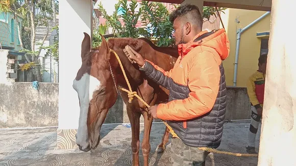 Fuel oil prices skyrocket! Alok Roy, a young man from Bandel, Hooghly, is leaving his bike and riding a horse