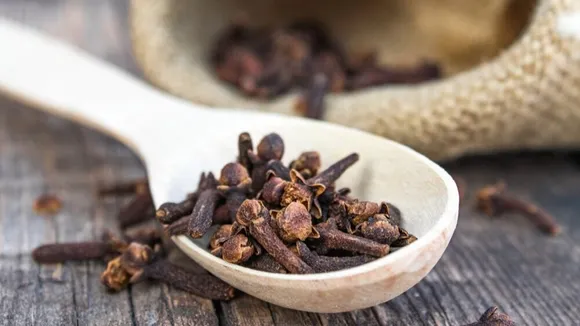 clove in teeth pain