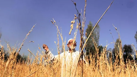 Nearly 500 hectares of land available for cultivation along IB in Jammu and Kashmir’s Samba