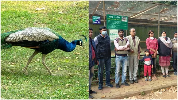 Four birds were adopted from Burdwan Ramnabagan Zoo