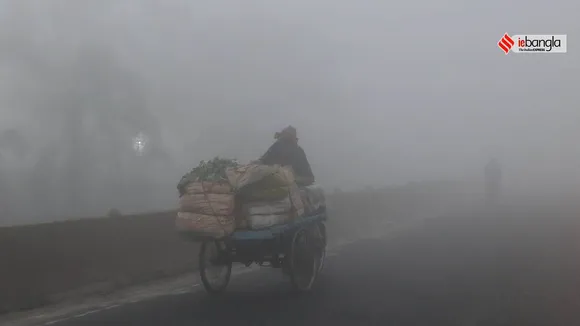 Winter Fog