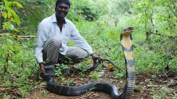 Vava Suresh recovers from cobra bite leaves kerala hospital