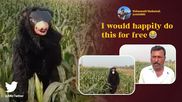 ‘Only in India’, A Man dresses as a bear to protect crops from monkey attacks