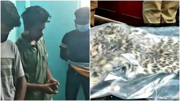 3 arrested for leopard hunting in Siliguri