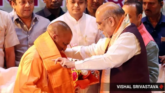 yogi