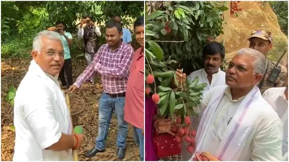 Dilip Ghosh mango litchi Murshidabad