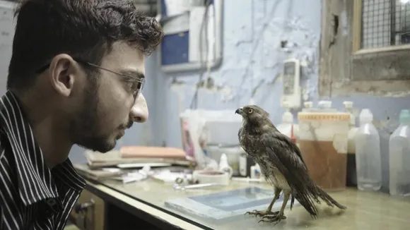cannes award winning documentary