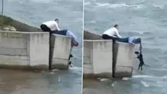 Rescue Dog Stuck In Overflowing River