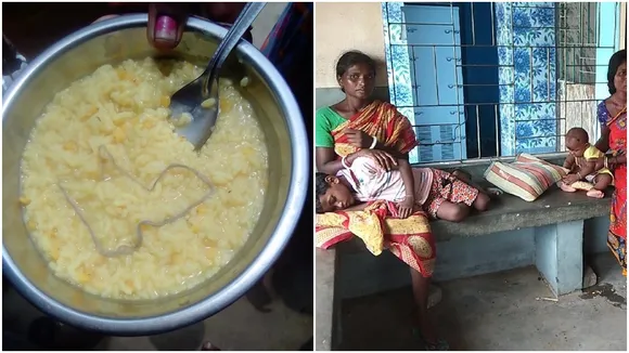 snake are found at icds centres food in east burdwan jamalpur