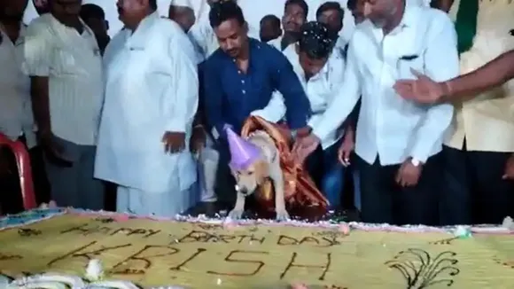 Karnataka dog birthday,Karnataka news,viral video,viral news,trending news