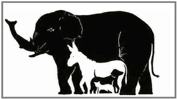 What is optical illusion, What is optical illusion examples, optical illusion pictures, optical