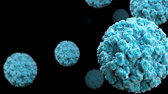 Norovirus, Norovirus cases, Norovirus Kerala, Norovirus Kerala cases, Kerala, Kerala news, Indian Express, Indian Express news
