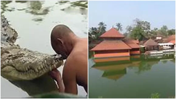 kerala crocodile temple