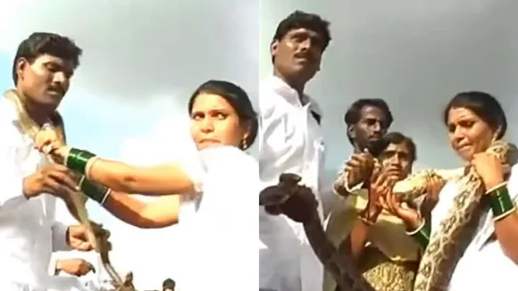 snake video, viral video, viral, wedding videos, wedding video, Indian wedding videos