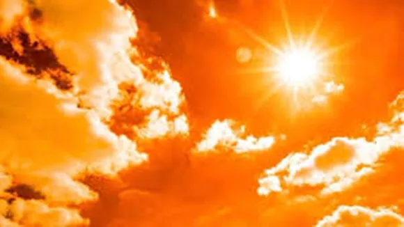 climate change, London heatwave, UK heatwave, wildfire, Climate crisis, Climate action, Science News, Environment, India Today Science