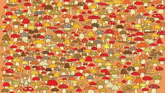 "Brain Teaser optical illusion, Optical Illusion todays, hidden optical illusion, optical illusions game, printable optical illusions, optical illusion examples, optical illusions for kids, optical illusion find hidden mouse in optical illusion, famous optical illusions, optical illusi