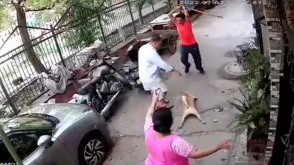 delhi news, delhi dog attack, delhi dog iron rod attack, delhi latest news, delhi police, delhi dog owner attacked, delhi dog attacked news
