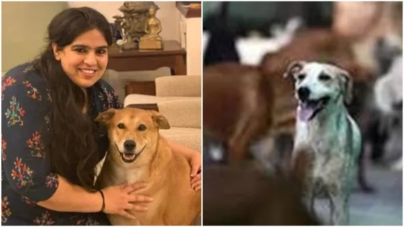 LottolandSeason2,Good samaritan,Delhi,stray animals,Stray Dog