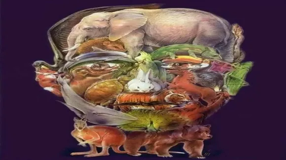 optical illusion, optical illusion find the hidden animals, optical illusion face, optical illusion for kids, optical illusion in Hindi, optical illusion games, optical illusion test, optical illusion personality tests