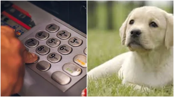 Pet dog,ATM,robbery,Jharkhand