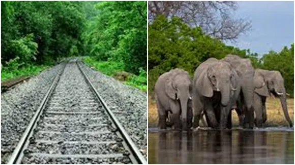 Loco pilots’ action saves lives of 12 elephant in Jharkhand