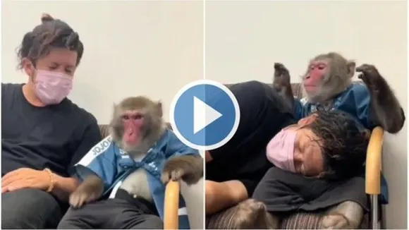 Viral Video,Google Trends Today,Trending Video,Trending Video Today,Viral Video Today,viral news,trending news,viral"