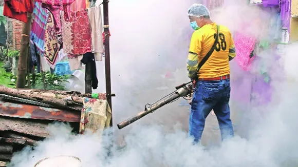West Bengal, West Bengal dengue cases, dengue cases in West Bengal, kolkata dengue cases, indian express