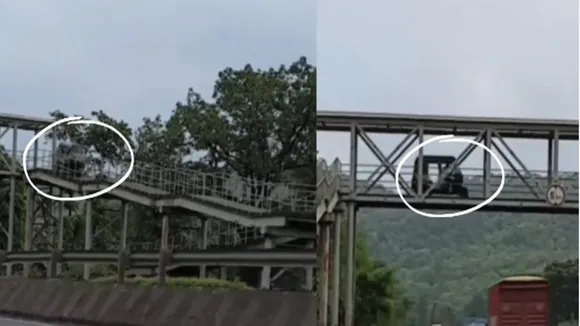 viral, viral video, viral Twitter videos, trending, trending videos, auto crosses footover bridge, auto drives on bridge