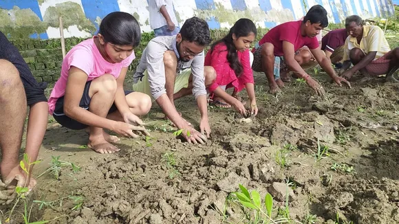 Students planted mangrove saplings on the banks of the river of the Ganges in Chandannagar