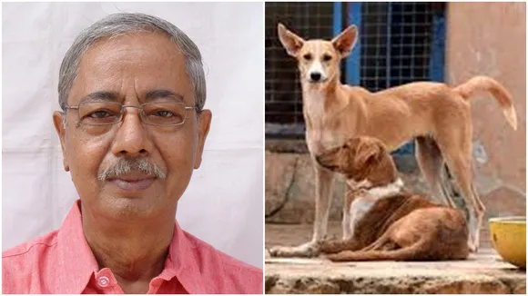 Sunil Pal, a retired teacher in Katwa, is doing research on stray dogs