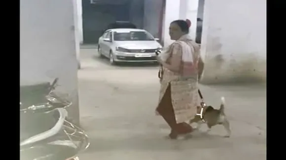 ghaziabad lift,charms castle,Raj Nagar Extension,pet dog,dog bite